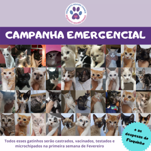 campanha emergencial para castracao