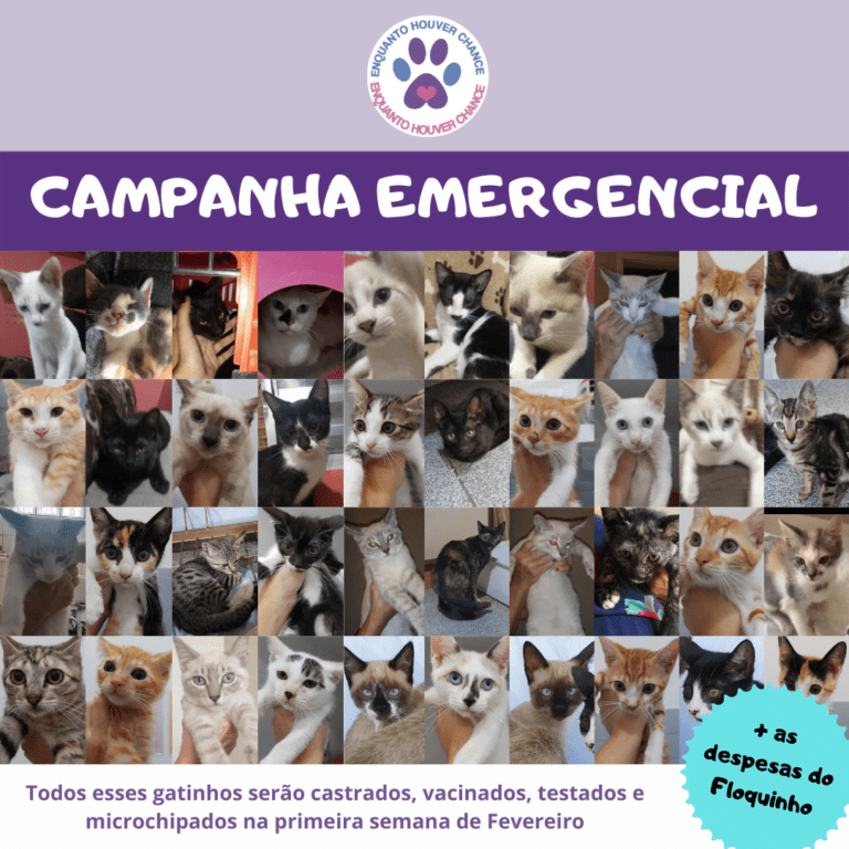 campanha emergencial para castracao